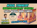 Medical Terminology for Coding AAPC CPC AHIMA Anatomy Beginners 2025