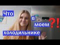 Что в моем холодильнике