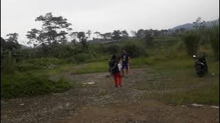 cara memanggil burung kekep babi