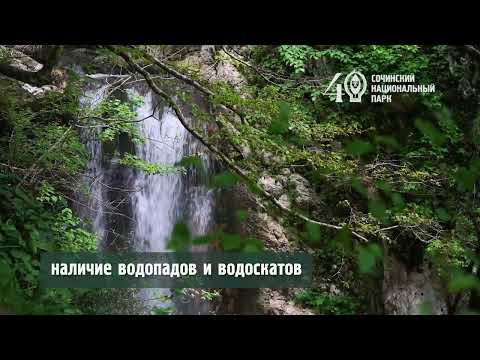 Водопады Сочинского национального парка