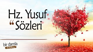 Kaderimi Ben Seçmedim Hz Yusuf Sözleri̇ Dini Sözler