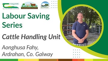 Aonghusa Fahy - Cattle Handling Unit