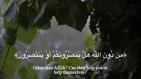 سورة الشعراء (آية: 88-104) القارئ: ياسر الدوسري