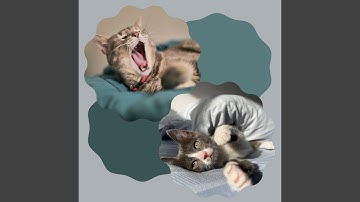 Pulsating Music for Keeping Cat Relaxed