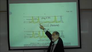 NEURAL INNERVATION OF THE HEART pp 190 & 191 by Professor Fink