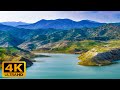 4K Video Ultra HD Relaxing Music, Beautiful Nature Birds Sound - Relax Music 4K Video Ultra HD