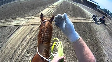 Team Roping Position 3: Handling steers that run Right