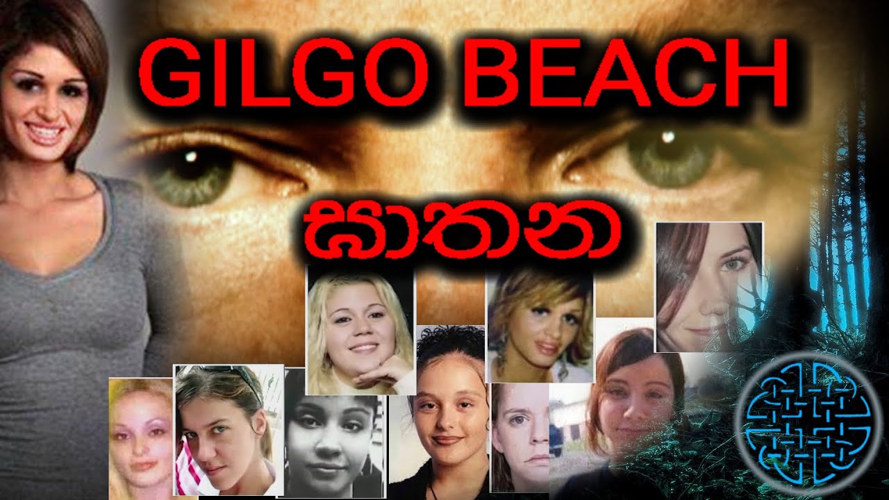 එක කෙස් ගසකින් හෙළි වූ, වසර 13ක්‌ පැරණි අභිරහස. Gilgo Beach Serial Killer. (සත්‍ය කතාවක් )..