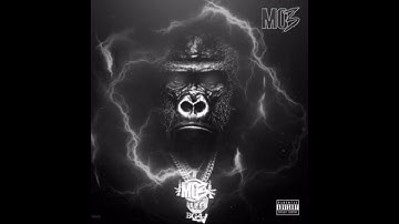 MO3 New Song 🦍🔥 Y