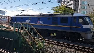1060レ EF210-308+コキ23両 戸塚通過(吹田機代走)