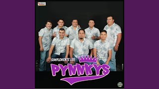 Video thumbnail of "Los Pinnkys - Cumbia Apache"