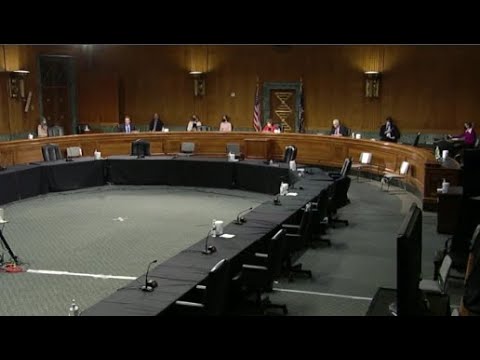 სენატორების გზავნილები ქართულ პოლიტიკურ სპექტრში აზრთა  სხვადასხვაობის მიზეზი ხდება