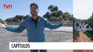 La Araucanía | Chile Conectado