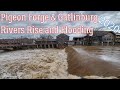 Things To Do In Gatlinburg with The Legend - YouTube