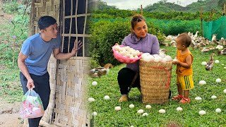 Warmth when mother and child are together  Harvesting duck eggs to sell at the market  daily life