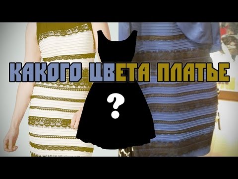 Вопрос: Какого цвета лиственница?