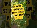 Viñas de uva bajas #campo #agricultura #agricultor #agricultores #agriculture