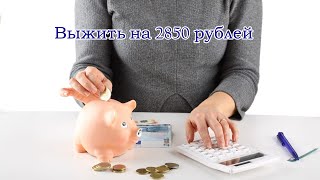 Выжить на 2850 рублей День 3