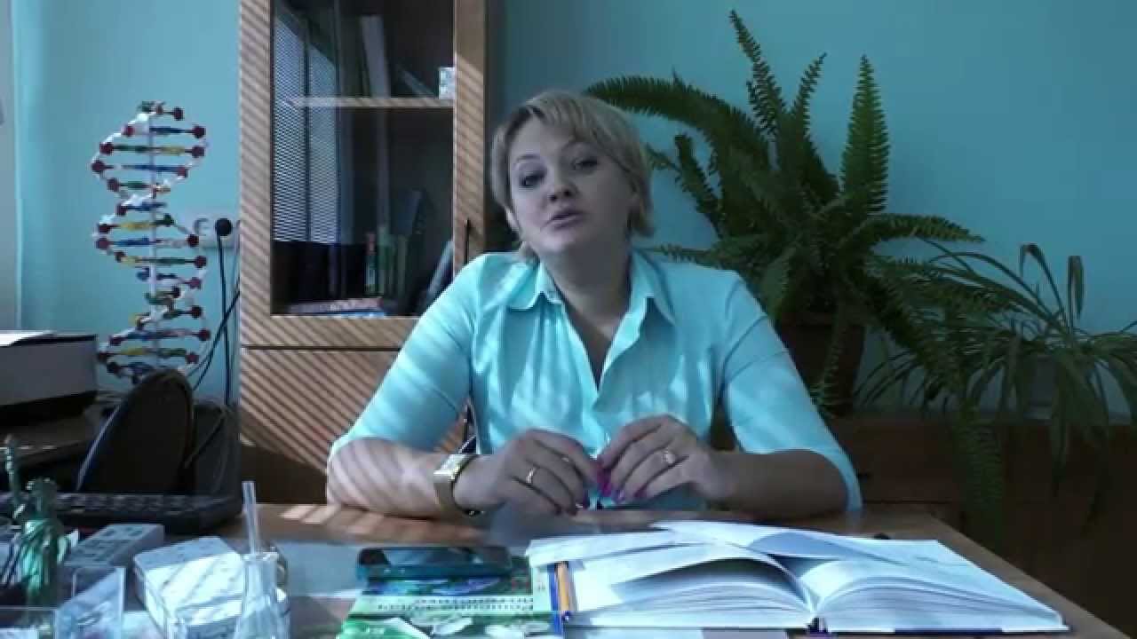 Кузнецова карина владимировна Кузнецова карина владимировна