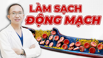 Phương Pháp Làm Sạch Động Mạch Hiệu Quả Ngay Tại Nhà | Bác Sĩ Trần Minh