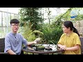 花婆婆 养花方法 004食虫植物进阶级 带你DIY食虫植物苔藓微景观 花婆婆 养花方法 004食虫植物进阶级 带你DIY食虫植物苔藓微景观