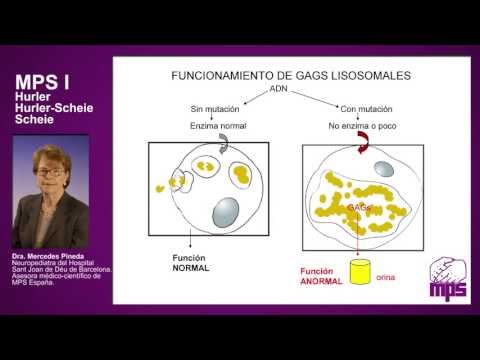 Vídeo: Perfil Cardíaco De La Población Checa De Pacientes Con Distrofia Muscular De Duchenne: Un Estudio De Resonancia Magnética Cardiovascular Con Mapeo T1