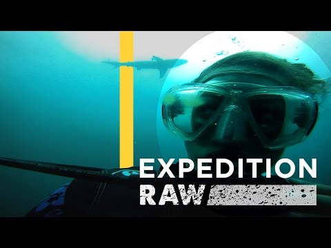 Turns Out Sharks Love Lasers | Expedition Raw