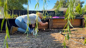 Painting the Trial Garden Bed! I'm Determined to Make This Thing Look Good! 😆💄🐷