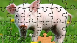 QUEBRA-CABEÇAS DE ANIMAIS | PIG JIGSAW PUZZLES screenshot 3