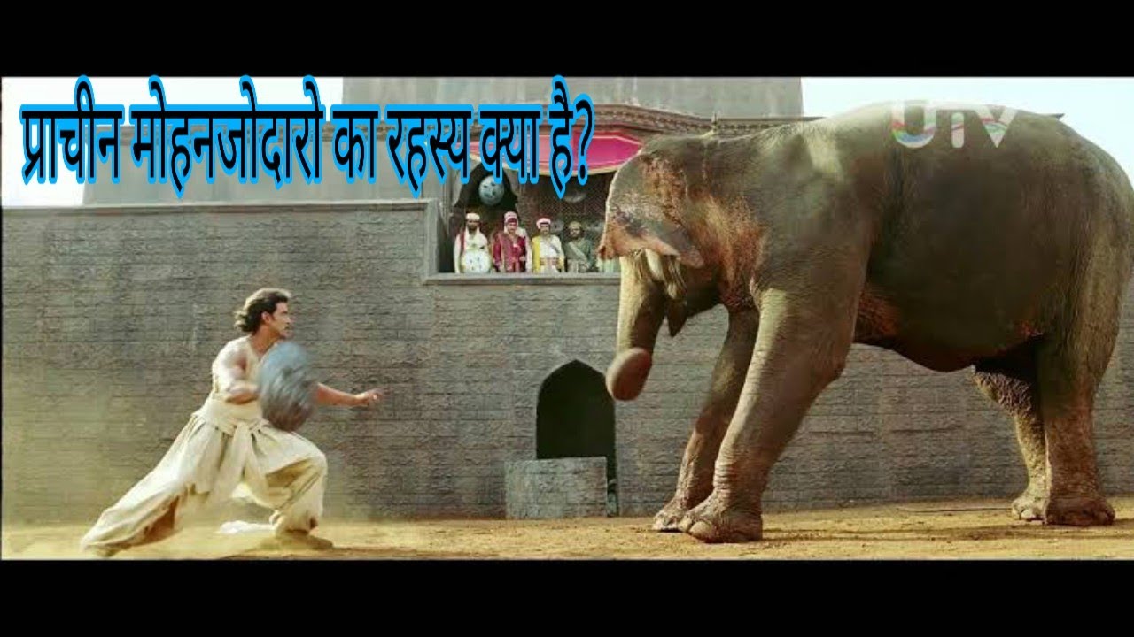 мести слон. мести слон. мести слон. рабочие слоны в индии. мести слон.