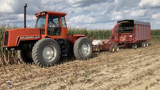 CHOPPING CORN SILAGE with Allis Chalmers Tractors