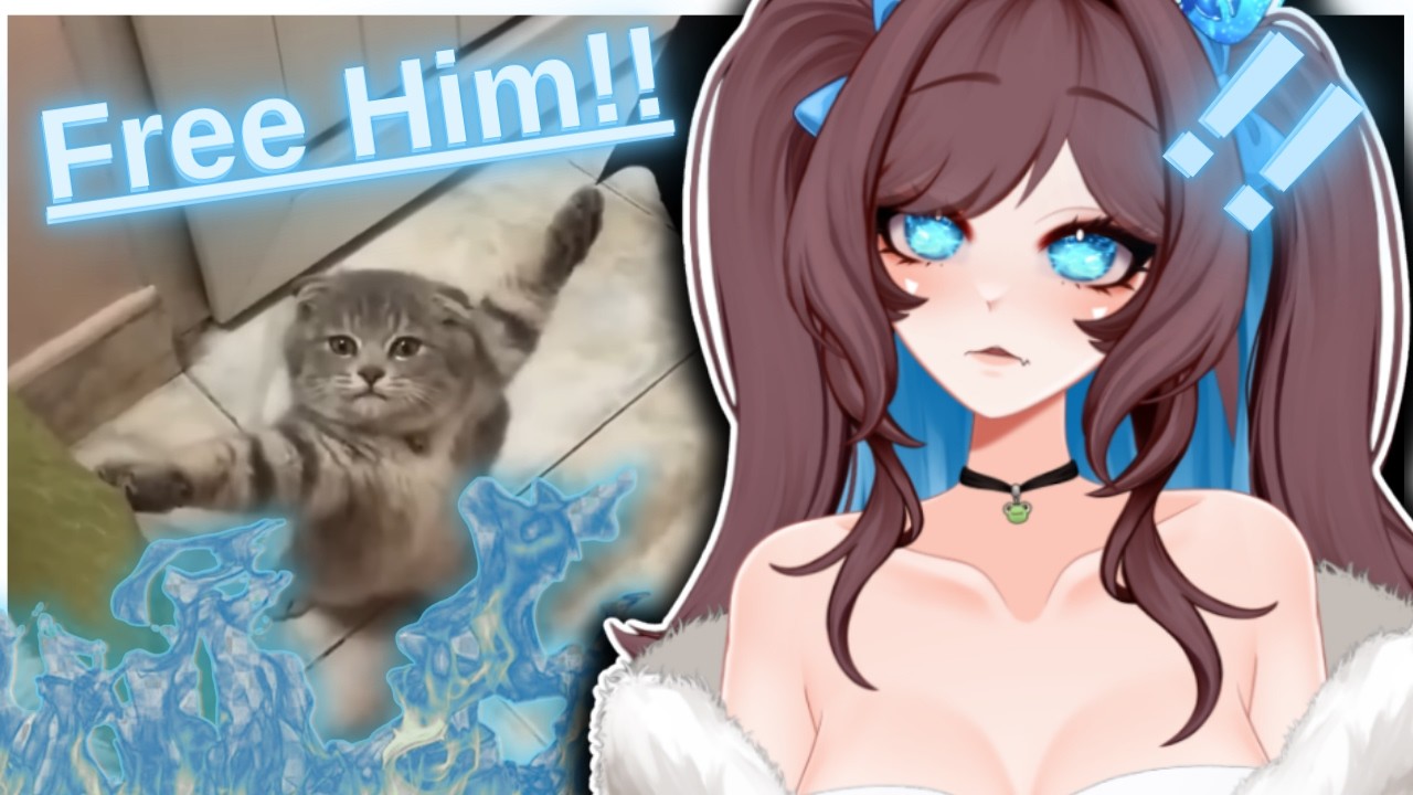 Реакция Pinebaby на самые смешные видео с котами || Ежедневная порция интернет-реакций ||