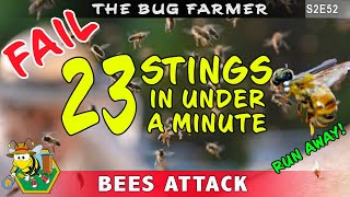 #fail Beekeeper FAIL! - 23 stings in under a minute. Beekeeper attacked by his own bees.