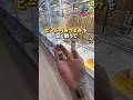 【ゲーセン】1000円でおつまみ何個取れるか挑戦してみました。(クレーンゲーム)