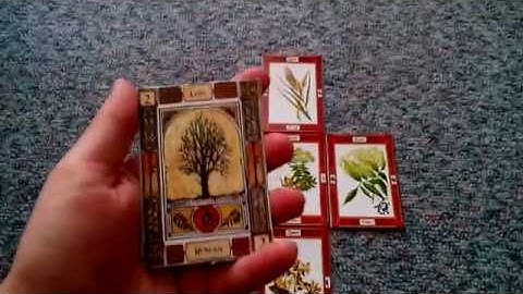 Celtic Tree Oracles Comparison