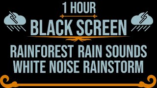 Rainforest Rain Sounds for Sleeping