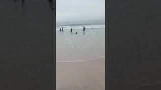 Africa Senegal beach ? short #video
