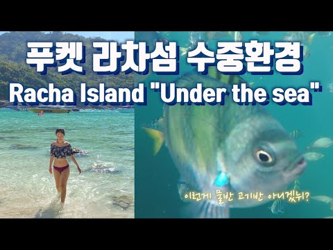 <strong>푸켓에서</strong> 절대 놓치지 말아야 할 곳! Racha isalnd tour