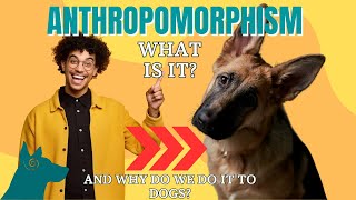 Anthropomorphism: The Dog Dilemma