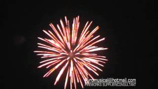 Fireworks sample show(shell)318