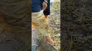 Oh, The Water Monster