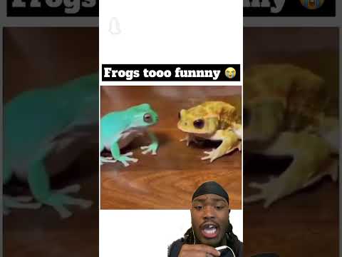 FROGS Youtubeshorts Shorts Food Frog Comedy 
