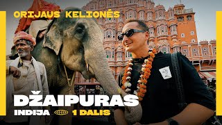 Orijaus kelionės. 5 sezonas, 14 laida. Indija. Džaipuras, 1 dalis - žiaurus dramblių taksi