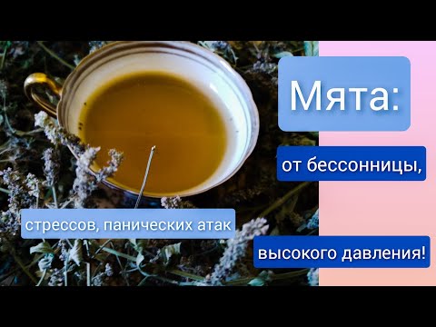 Мята:  от панических атак, стрессов, бессонницы и высокого давления!