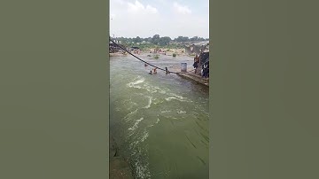 भैरवी नदी - छिन्मस्तिका माता मंदिर रजरप्पा झारखंड ।