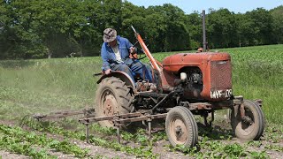 Vintage 1942 Allis-Chalmers Model B | Hoeing sugar beet | From the Classic Farming DVDs