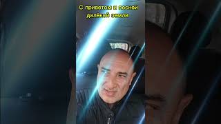 "Летят журавли" Песня на СтихиОтца  #музыка #поэзия