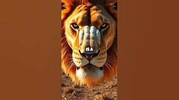 Stop Scrolling! Your Dreams Won