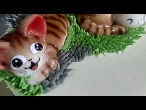 Tạo hình mèo chii (cute)