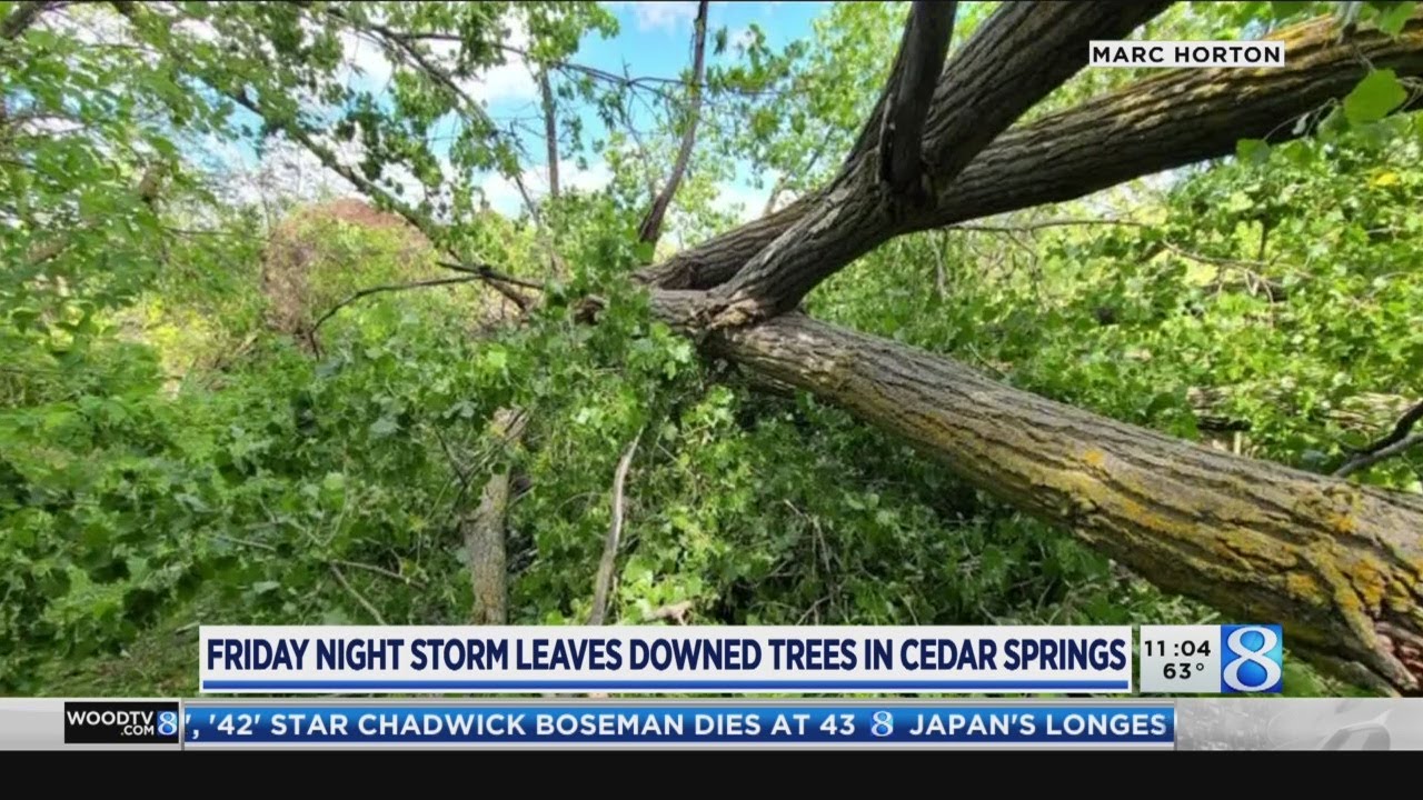 Thousands without power after storms hit West Michigan - YouTube